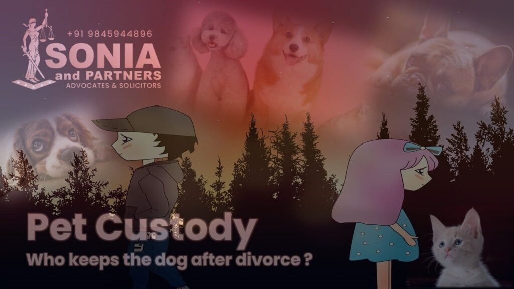 Best Personal Lawyers in Bangalore