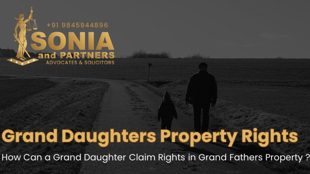 Lady Lawyers near me